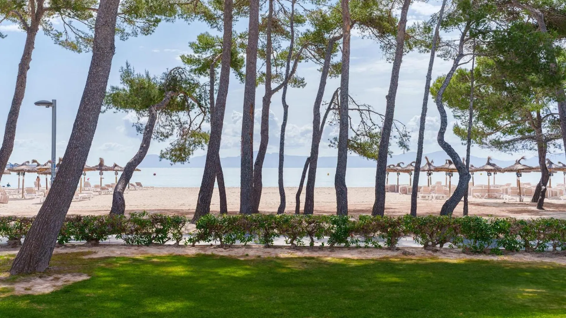 Apartamentos Ferrer Lime Playa De Alcudia Port de Alcudia  Port de Alcudia (Mallorca)